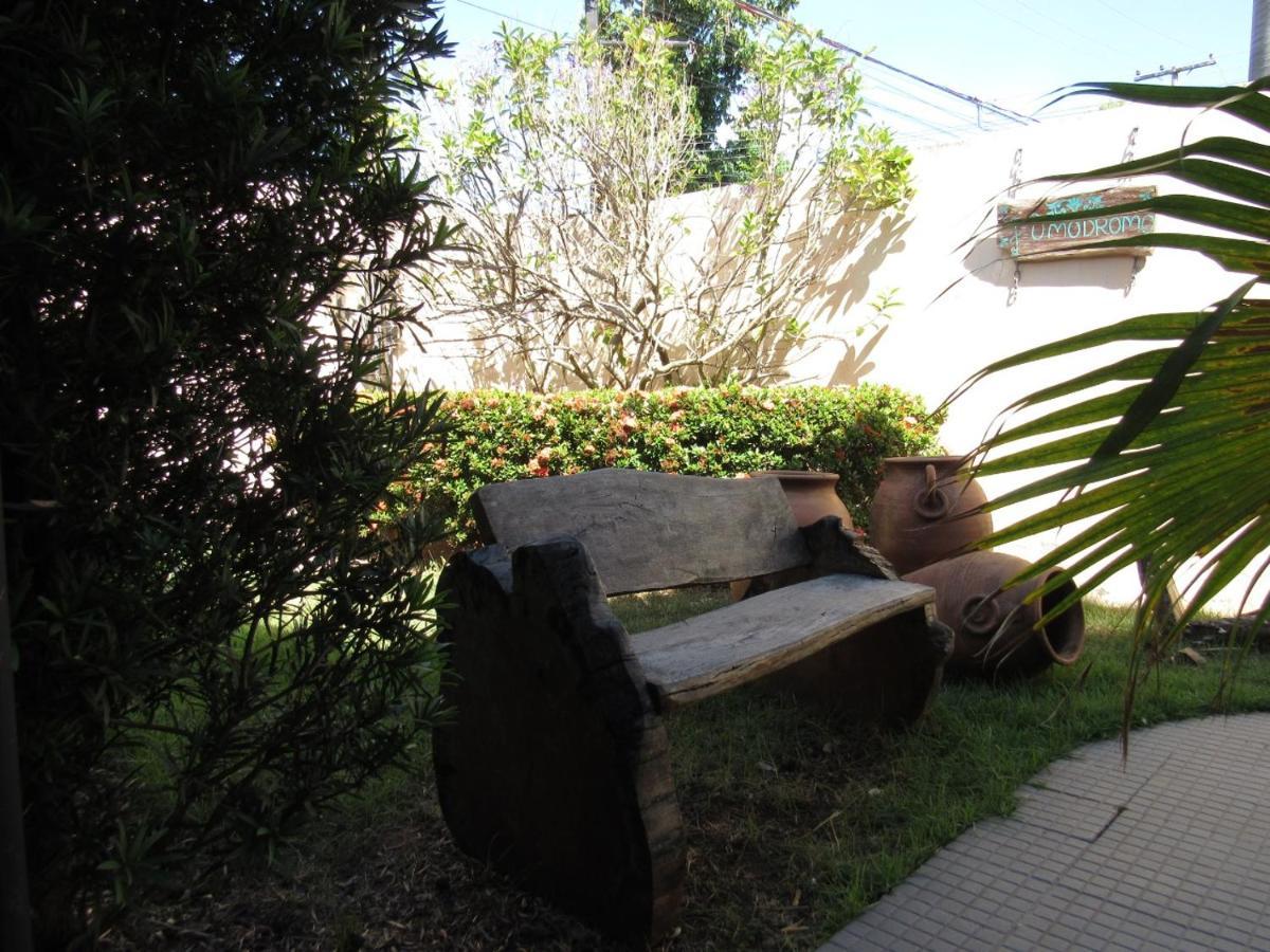 Sol De Verao
